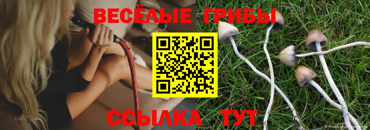 Псилоцибиновые грибы Psilocybe  Галлюциногенные грибы Psilocybe  Кореновск  Вход с VPN 